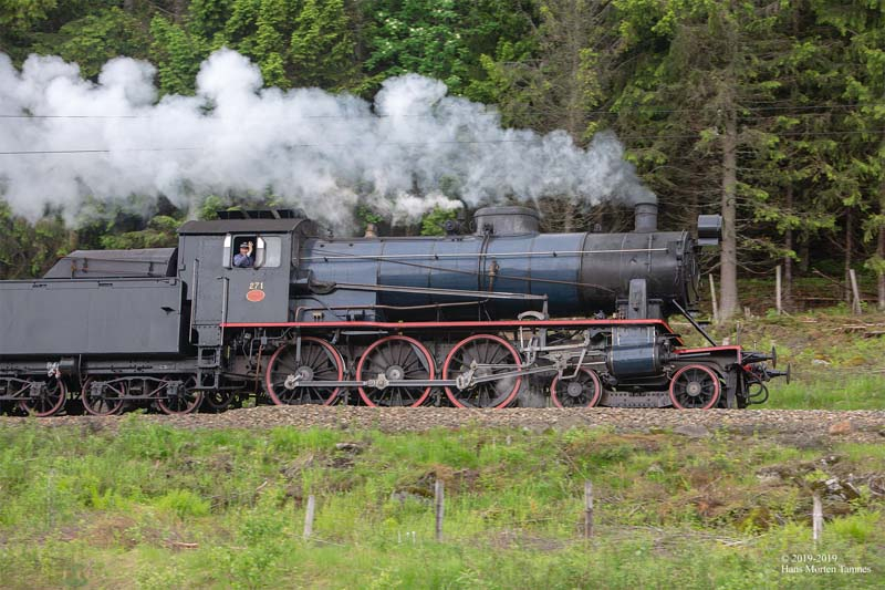 2019-06-07_02628-TamnesHansMorten-800-72