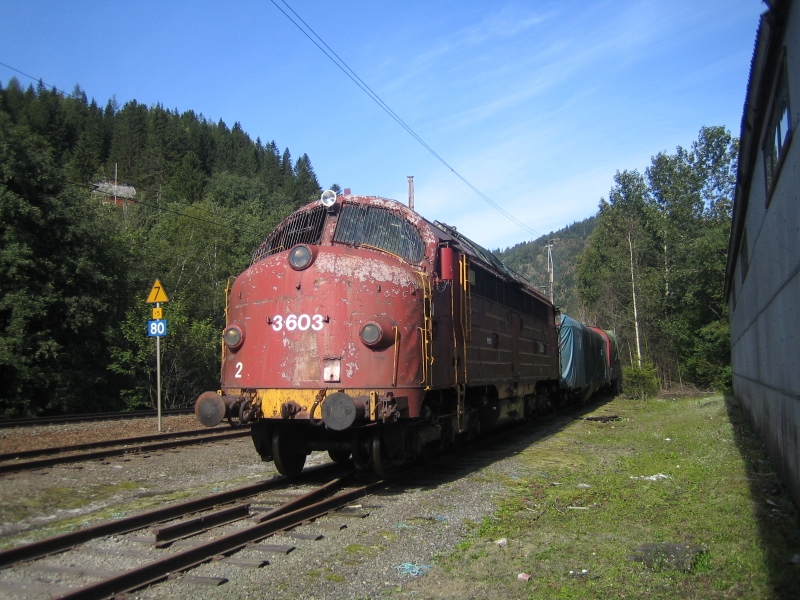 IMG 1356 800x600